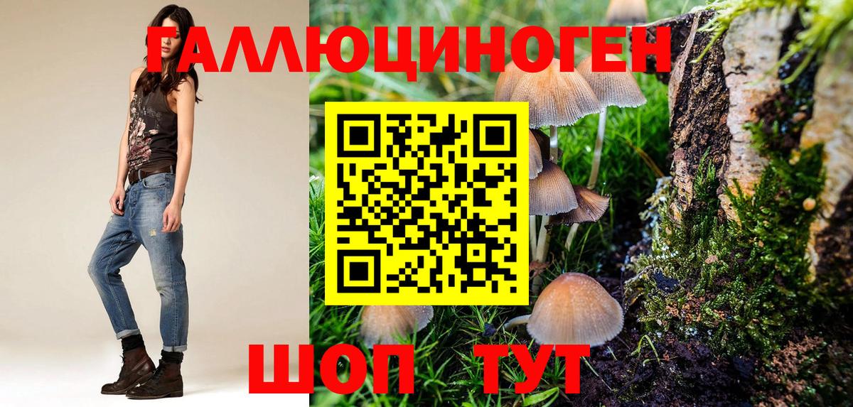 Галлюциногенные грибы ЛСД  Вход с VPN  Александров  что такое наркотик  Галлюциногенные грибы GOLDEN TEACHER 