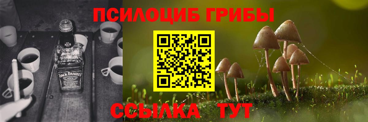 Галлюциногенные грибы прущие грибы Александров